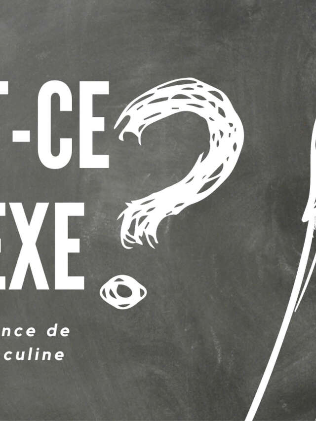 Théâtre "Qu'est-ce que sexe ?" par Jonathan Zangarelli