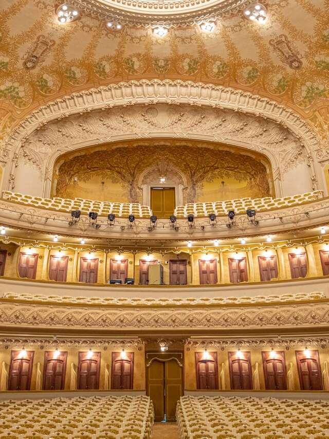 Visite guidée : "Salle de l'Opéra de Vichy"