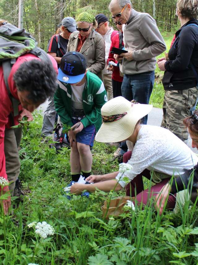 Hiking outing in the Abondance valley