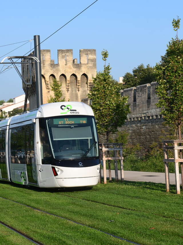 Orizo, transports en commun du Grand Avignon