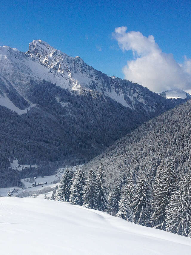 Ski hors-piste avec le bureau des guides