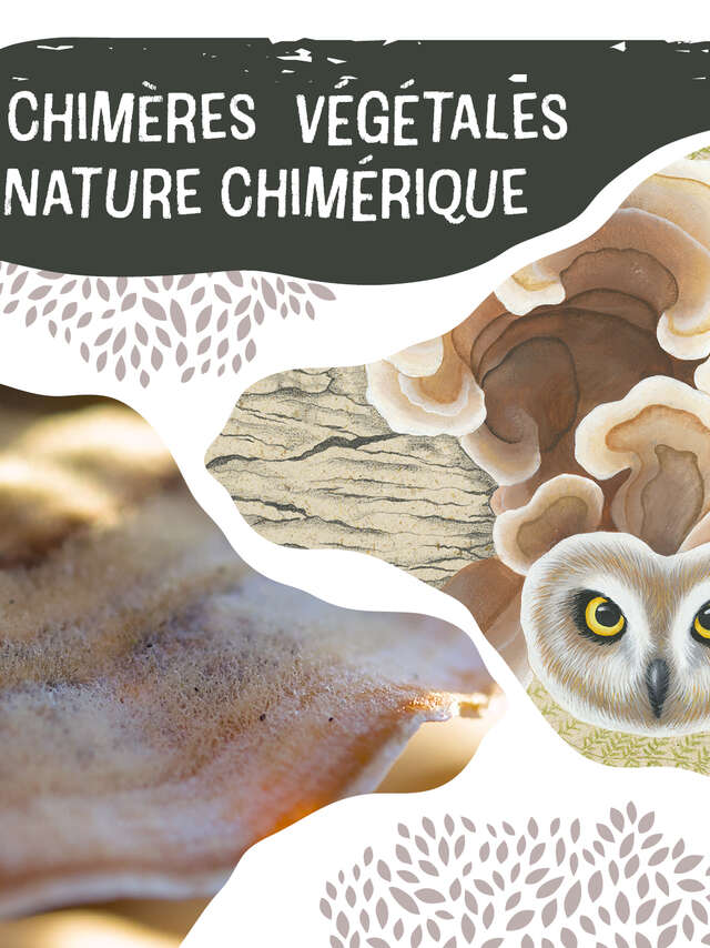 Exposition Chimères végétales