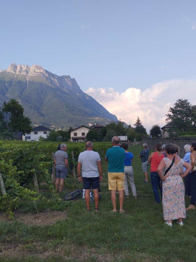 Vignobles en scène : Animations et dégustations au Domaine de Méjane