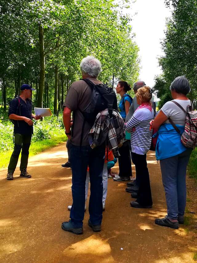 Stage 1/2 journée: Plantes sauvages comestibles