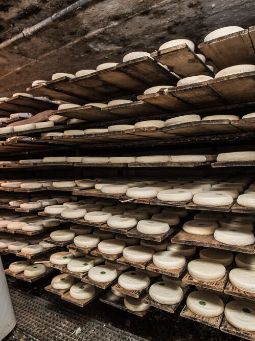 Veillée d'hiver : les femmes du Grand-Bornand