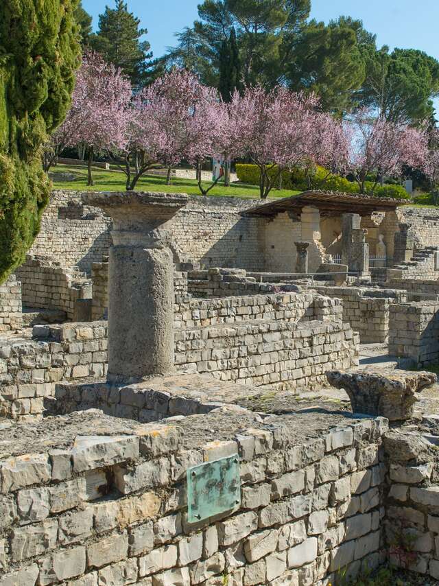 Le parc archéologique de Vaison-la-Romaine