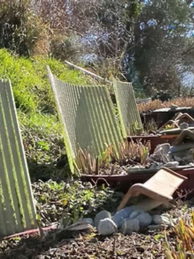 Workshop Phyto-Klärung - Theorie und Projektstudie