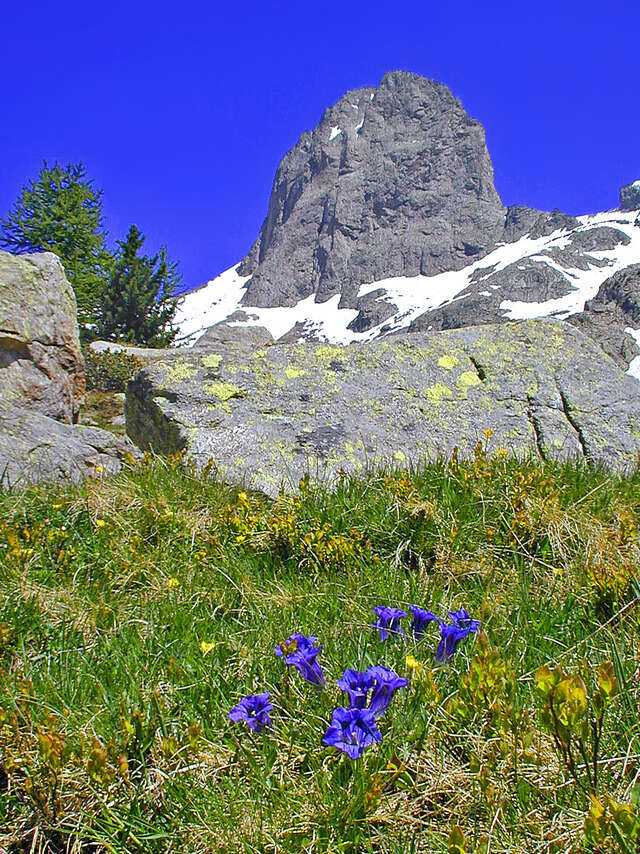 Le  Mercantour : 70 ans de protection de la nature racontés par le plus ancien garde-moniteur en service