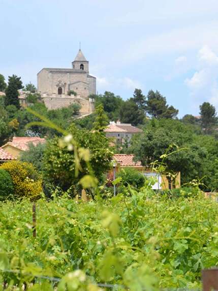 Balade & Découverte - La balade des vignes et des caves