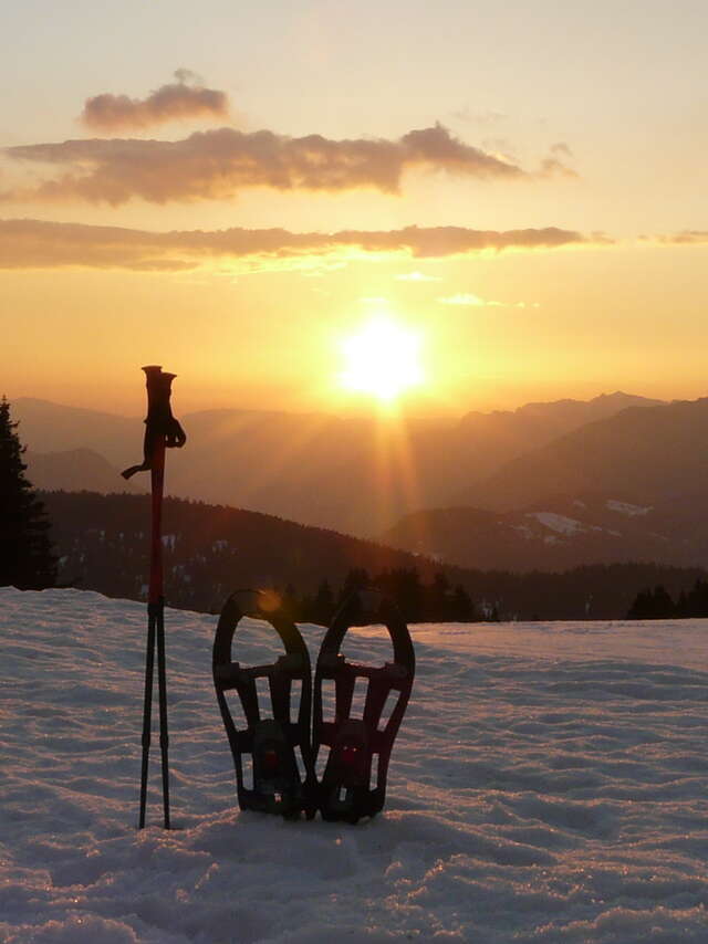 Balade nocturne & fondue Savoyarde en refuge