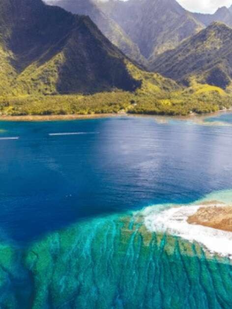 Tahiti Iti Tour & Surf - Sortie baleines