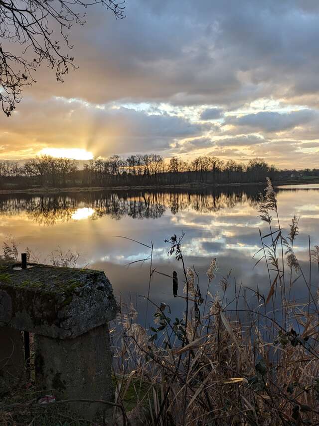 Balade ornithologique au lever du soleil