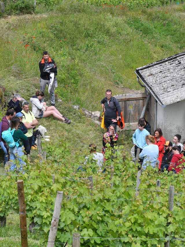 Domaine des Crocs Blancs
