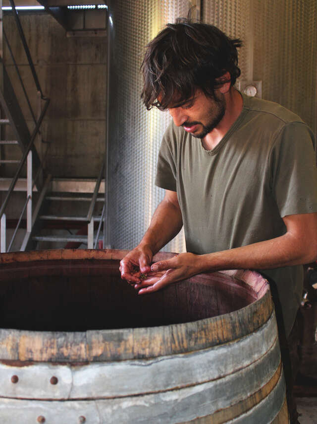 Domaine des Bouzons