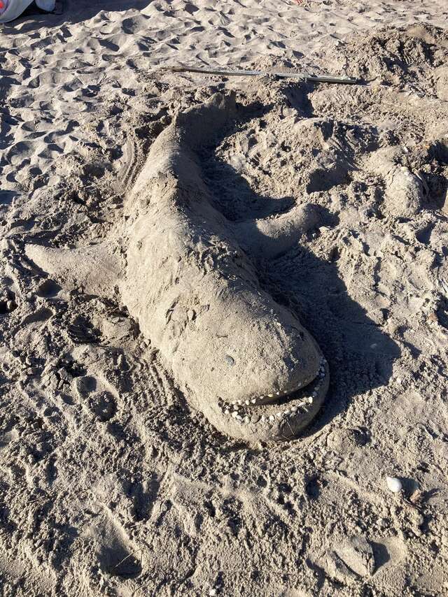Concours de Châteaux de Sable