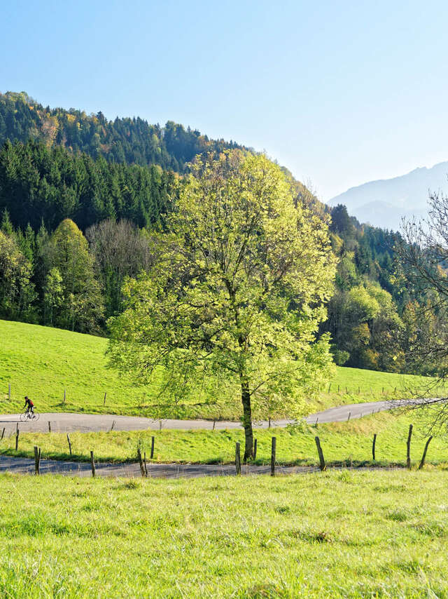 Aller cyclo : Col de la Forclaz versant sud (Montée par Montmin)