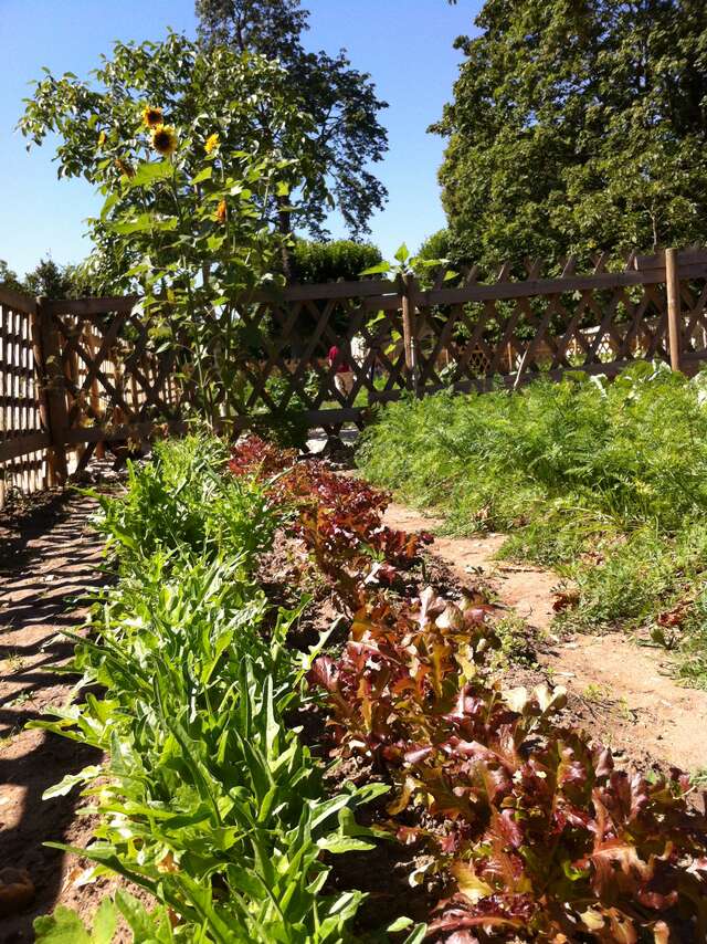 Le Potager du Parc Chanorier