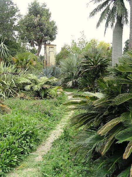 Jardin botanique Villa Thuret