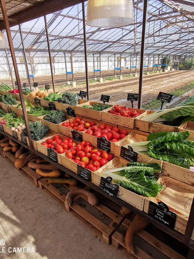 Le Potager de Sardar Biglari