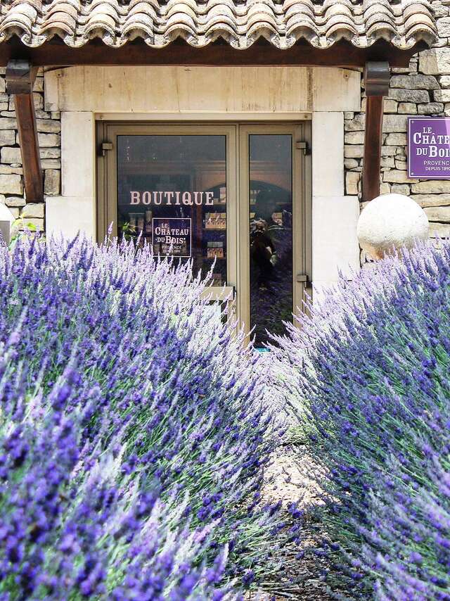 Le Château du Bois Provence - Producteurs et distillateurs de Lavande Fine