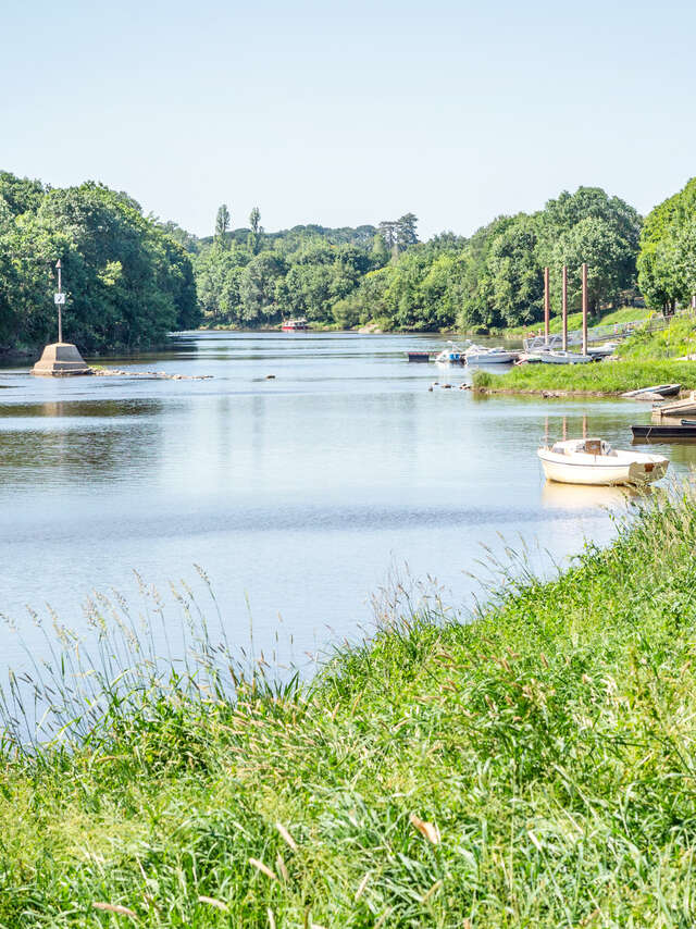 Entre Mayenne et prairies des Basses Vallées Angevines