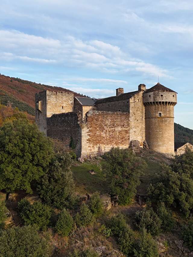 Château du Cheylard d'Aujac