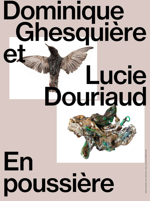 Exposition En Poussière