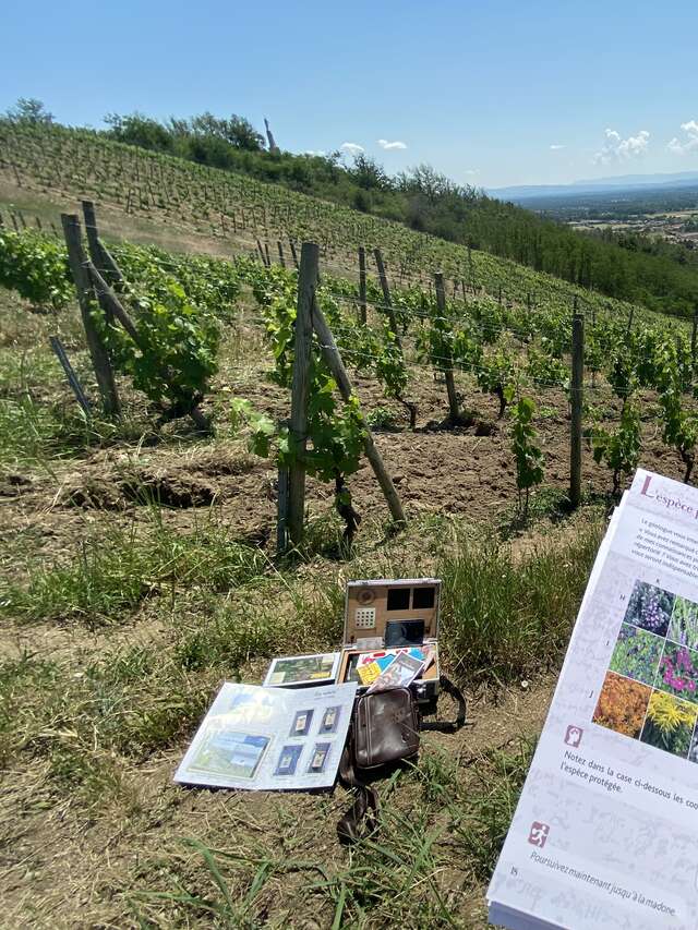 Enquête game à Champdieu : Meurtre dans le vignoble