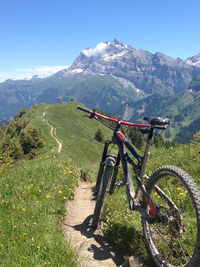 Synergie MTB School