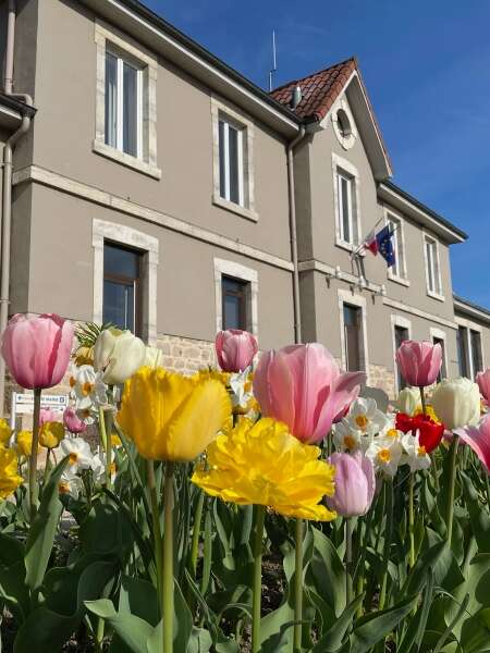 Marboz, suivez le cheminement de l'histoire