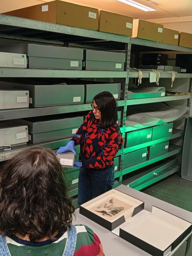 Visite des réserves du musée