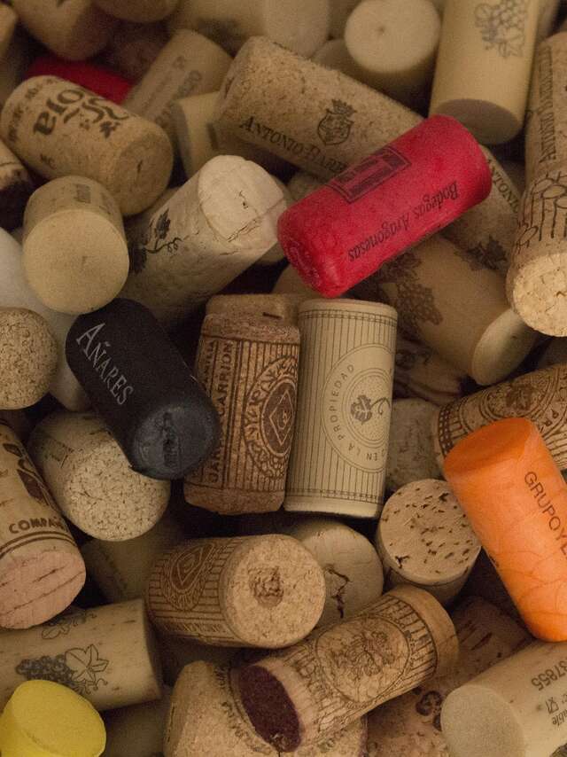 Oenology meeting