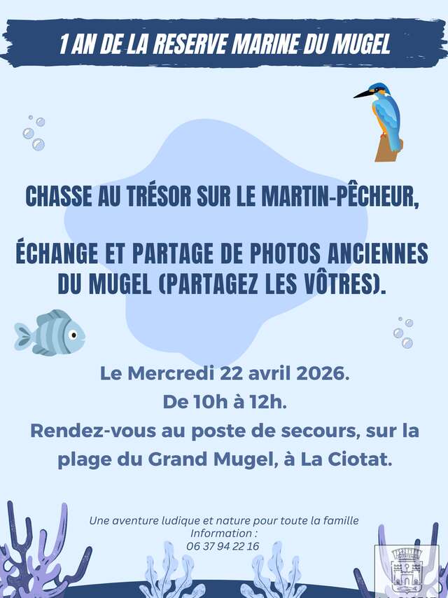 Schnitzeljagd auf dem Eisvogel