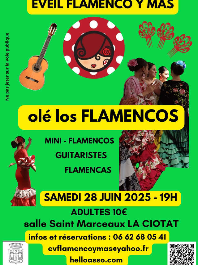 Spectacle Olé Los Flamencos