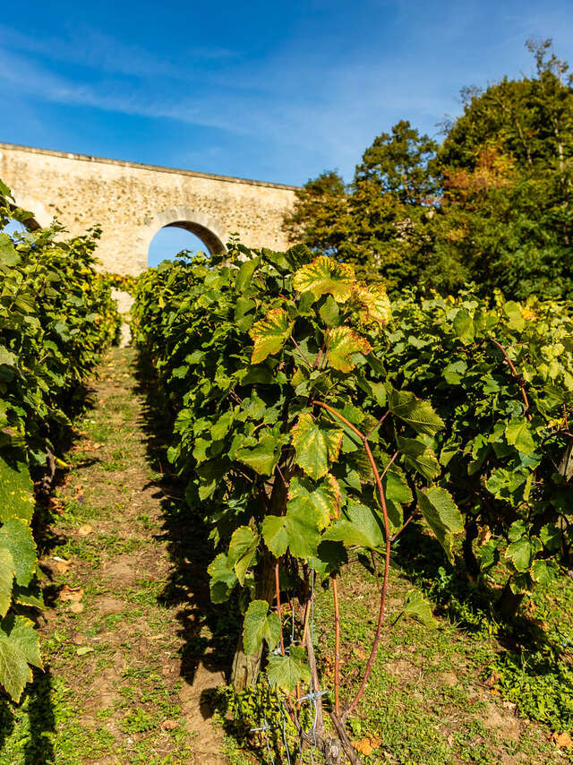 Les Coteaux de Louveciennes