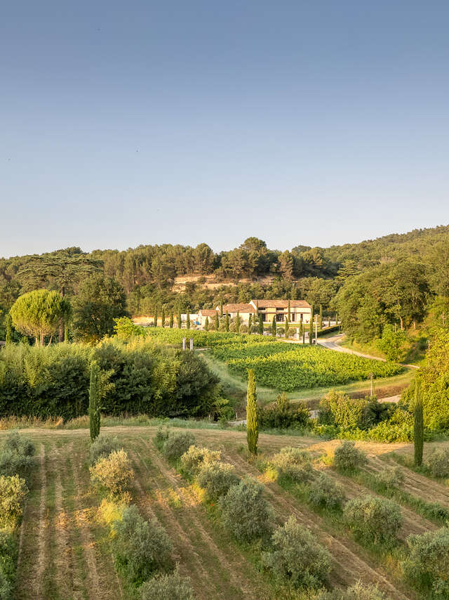 Moulin à Huile & Domaine Bastide du Laval