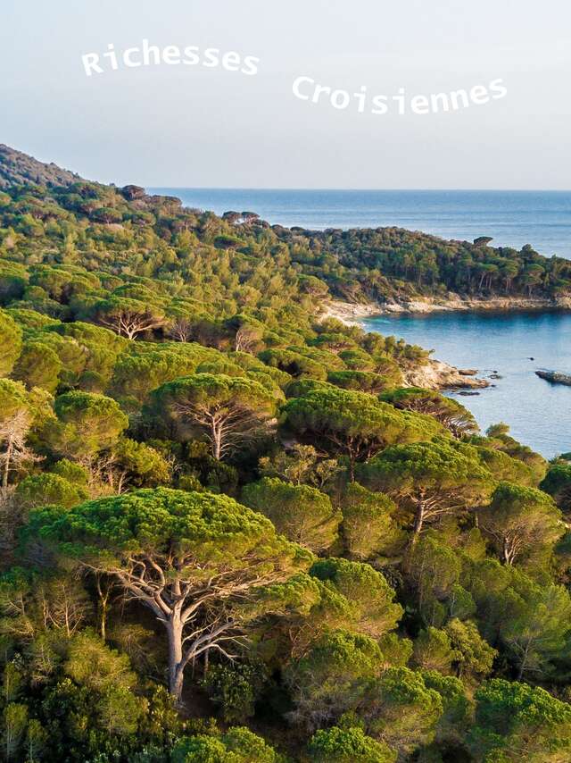 Point rencontre avec un garde du littoral : Flore et végétation du Cap Lardier