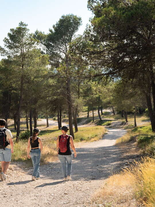 A04 Spaziergang und Naturentdeckung - La Pariisienne