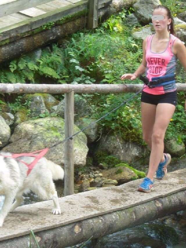 Cani rando au Pleynet