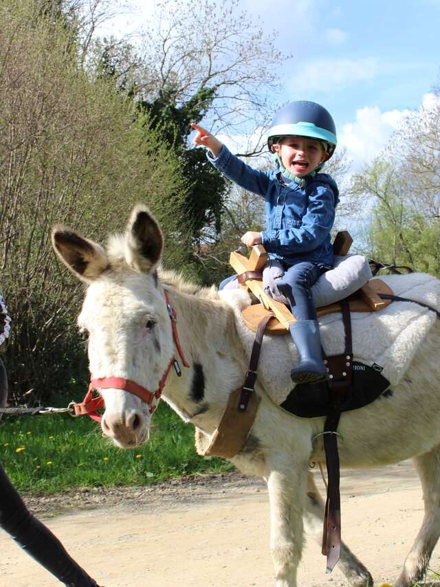 Balade à dos d'âne - La Ferme de la Marinette