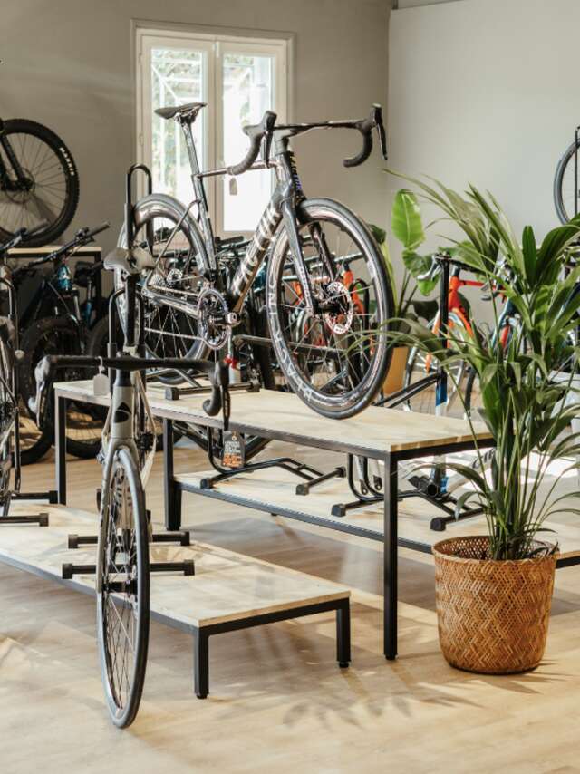 Vaison Bike