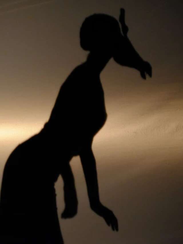 Spectacle - La Fin ?