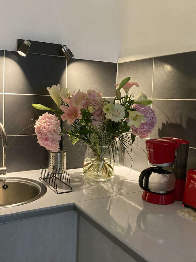 Le Pélican villardois