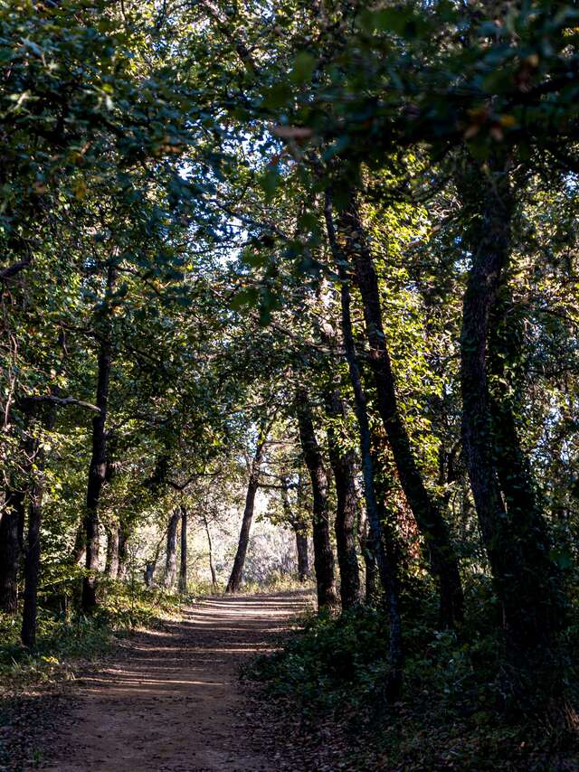 Sentier "Le Pierredon"