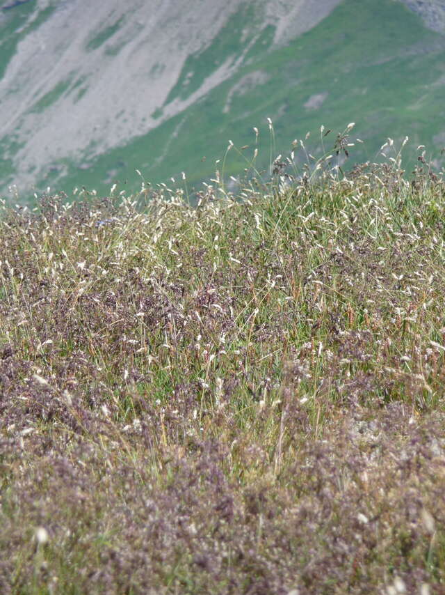 Marche sensorielle encadrée : se reconnecter à la nature et à soi-même