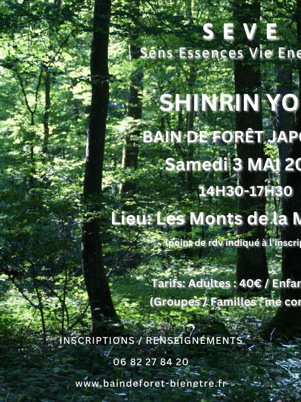 "SHINRIN YOKU" bain de forêt Japonais
