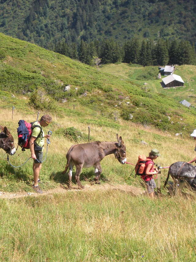 Randonnées 2 jours avec un âne