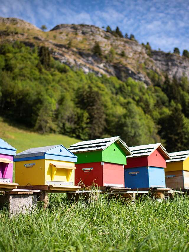 Veillée d'hiver : l'apiculture
