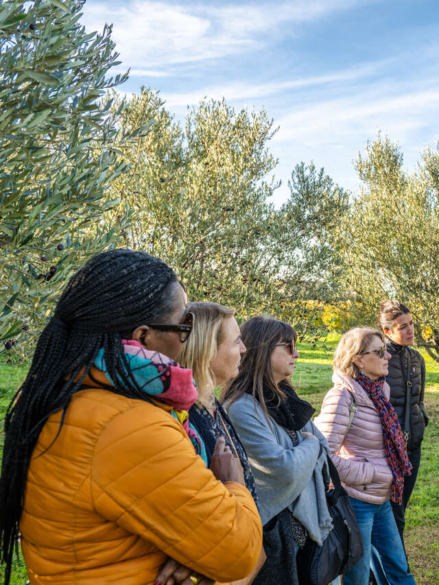 Olive oil tasting at "Les 3 Souquets" store