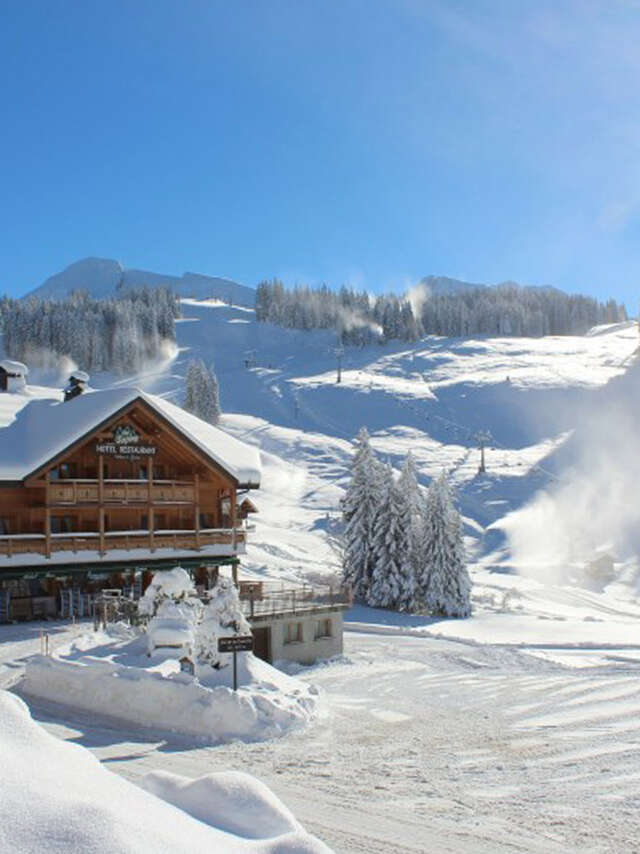 Hôtel les Sapins Wellness & Gourmet